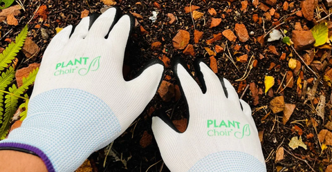 Compost to Calm: How Healthy Soil Makes Plants Sing