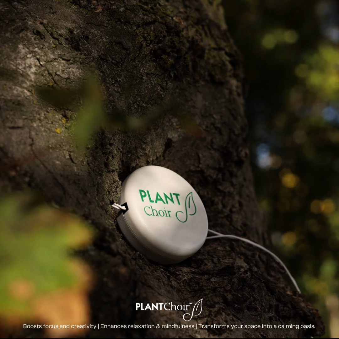 Make Music With Your Plants | PLANTChoir – PlantChoir