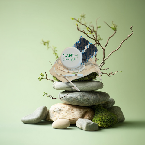 Spring Starter Bundle