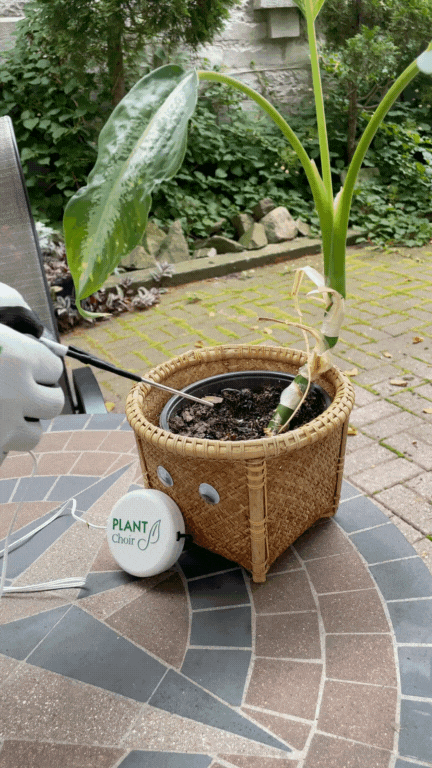Soil Probes